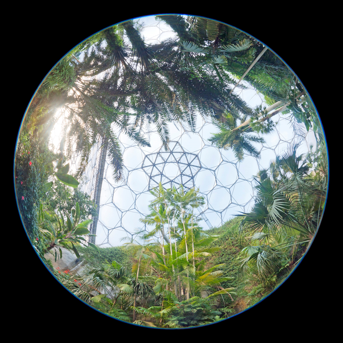 Eden Project, Cornwall 2015