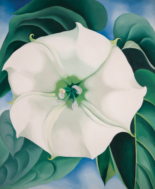 Georgia O'Keeffe Jimson Weed/White Flower No. 1 1932