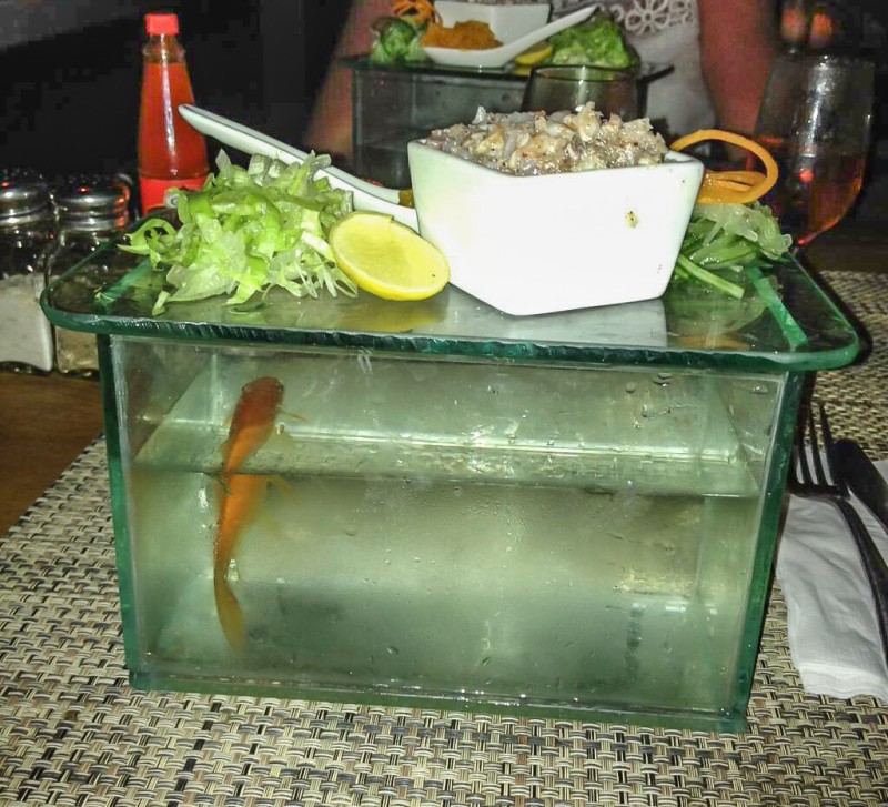 http://wewantplates.com